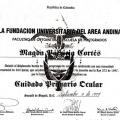 Acercar imagen: certificate 6