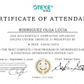 Acercar imagen: certificate 9