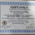 Acercar imagen: certificate 4