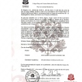Acercar imagen: certificate 5