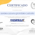 Acercar imagen: certificate 1