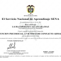 Acercar imagen: certificate 1