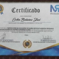Acercar imagen: certificate 2
