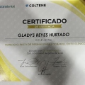 Acercar imagen: certificate 10