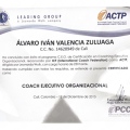 Acercar imagen: certificate 4