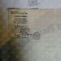 Acercar imagen: certificate 24