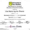 Acercar imagen: certificate 3