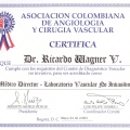 Acercar imagen: certificate 8