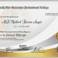 Acercar imagen: certificate 11