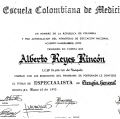 Acercar imagen: certificate 5