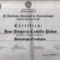 Acercar imagen: certificate 10