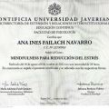 Acercar imagen: certificate 3