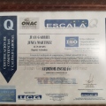 Acercar imagen: certificate 6