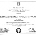 Acercar imagen: certificate 3