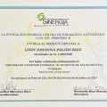 Acercar imagen: certificate 16