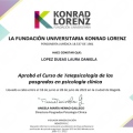 Acercar imagen: certificate 5