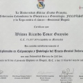 Acercar imagen: certificate 1