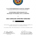 Acercar imagen: certificate 9