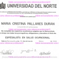 Acercar imagen: certificate 3