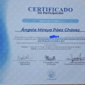 Acercar imagen: certificate 4
