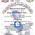 Acercar imagen: certificate 3