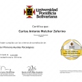 Acercar imagen: certificate 9