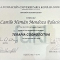 Acercar imagen: certificate 7