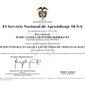 Acercar imagen: certificate 6
