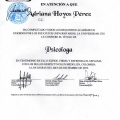 Acercar imagen: certificate 4