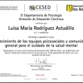 Acercar imagen: certificate 11