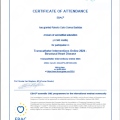 Acercar imagen: certificate 13