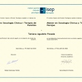 Acercar imagen: certificate 7