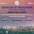 Acercar imagen: certificate 3