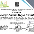 Acercar imagen: certificate 5