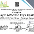 Acercar imagen: certificate 4