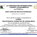 Acercar imagen: certificate 17