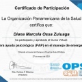Acercar imagen: certificate 22