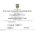Acercar imagen: certificate 17