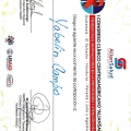 Acercar imagen: certificate 10