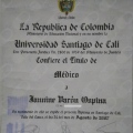 Acercar imagen: certificate 3