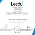 Acercar imagen: certificate 6