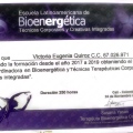 Acercar imagen: certificate 1