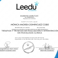 Acercar imagen: certificate 13