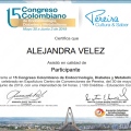 Acercar imagen: certificate 19