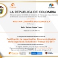 Acercar imagen: certificate 11