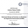Acercar imagen: certificate 1