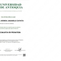 Acercar imagen: certificate 4