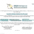 Acercar imagen: certificate 7