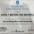 Acercar imagen: certificate 13