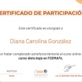 Acercar imagen: certificate 5